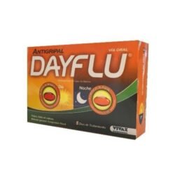 DAYFLU DIA/NOCHE X 6 CAP