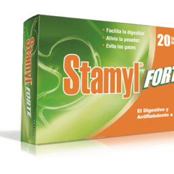 STAMYL FORTE 300/100MG X 20TAB REC