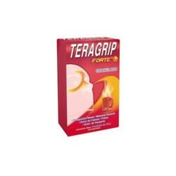 TERAGRIP FORTE DIA X 1 SOBRE