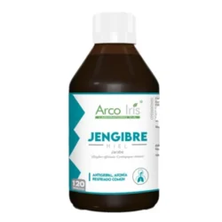 ARCOIRIS JENGIBRE MIEL X 120ML JBE