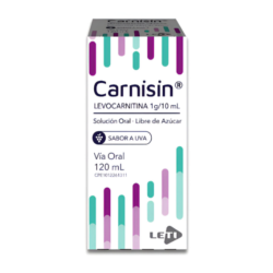 CARNISIN S/AZUCAR 1GR X 120ML