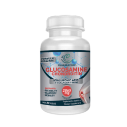 PHARMACORP GLUCOSAMINA/CONDOITRINA X 90